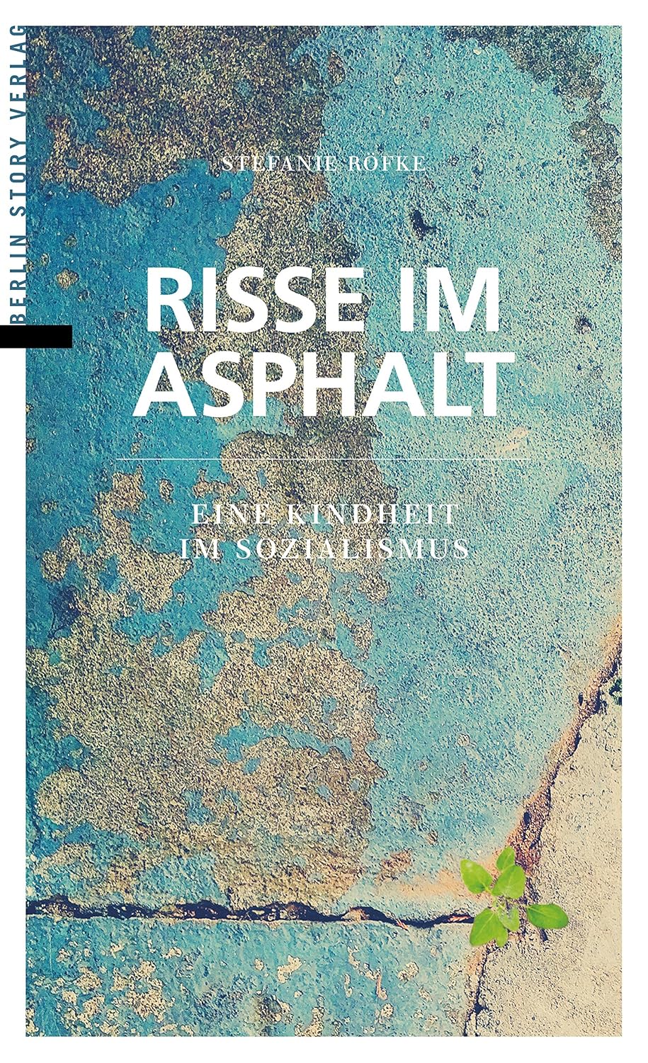 Risse im Asphalt Book Cover